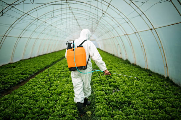 Best Best Pest Control Companies  in Chrisman, IL