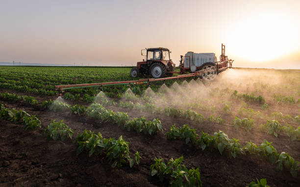 Best Insect Control  in Chrisman, IL