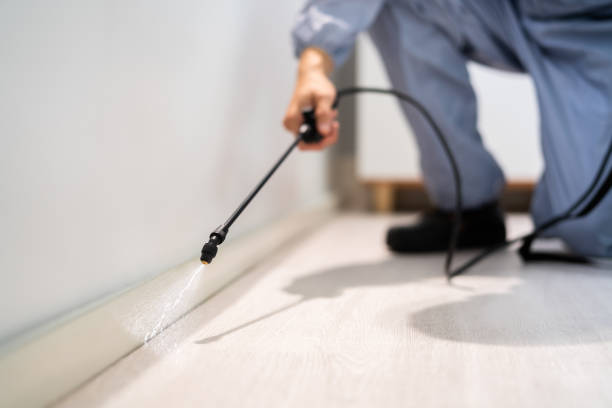 Best Pest Prevention Services  in Chrisman, IL