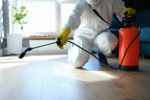 Wasp Removal Services in Chrisman, IL
