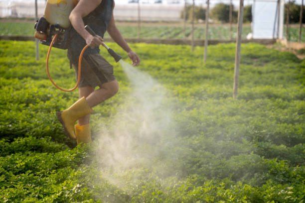 Best Pest Removal Services  in Chrisman, IL