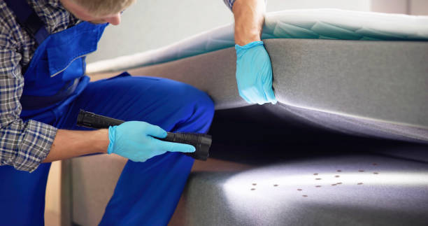 Best Wasp Removal Services  in Chrisman, IL