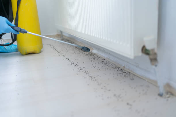 Best Pest Prevention Services  in Chrisman, IL